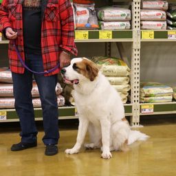 photograph by PeterW